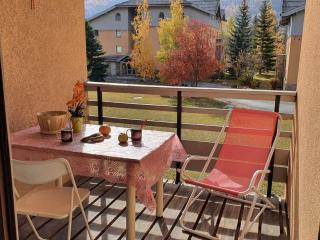 Appartement 6 pers, navette pistes, parking inclus - FR-1-358-141 - Le Bez - 6