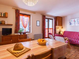 Appartement montagnard avec Wifi proche pistes et thermes - FR-1-358-155 - 7