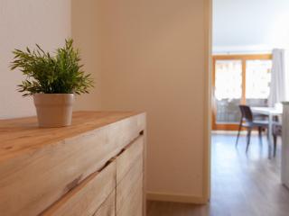 Studio au pied des pistes avec Wifi et animaux acceptés - FR-1-358-174 - Puy-Saint-Pierre - 7