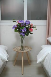 Lumi Grape House - 1