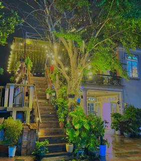 My Stay 1 Lê Văn Tám - 7