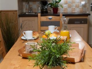 Studio au pied des pistes avec Wifi et animaux acceptés - FR-1-358-200 - 4