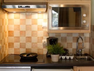 Studio rénové, proche des pistes, animaux admis, wifi - FR-1-358-226 - 9