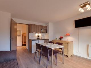 Studio au pied des pistes avec WiFi et animaux acceptés - FR-1-358-240 - Puy-Saint-Pierre - 4