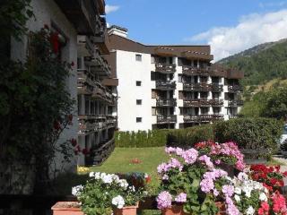 Studio Récent Tout Confort · Animaux Admis · Parking Extérieur - FR-1-358-247 - Champcella - 4