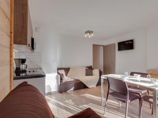 Studio rénové au pied des pistes, WIFI, animaux acceptés - FR-1-358-248 - Puy-Saint-Pierre - 9