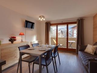Studio chalet proche pistes, WiFi gratuit, animaux acceptés - FR-1-358-238 - 4