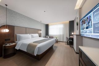 Hanting Hotels & Resorts Shijiazhuang West Railway Station West Square Ximei Flower Street Branch - 4
