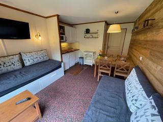Studio cosy proche pistes avec parking et WiFi - FR-1-358-263 - 7