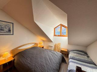Chalet alpin fonctionnel proche des pistes avec WIFI gratuit et animaux admis - FR-1-358-306 - 2
