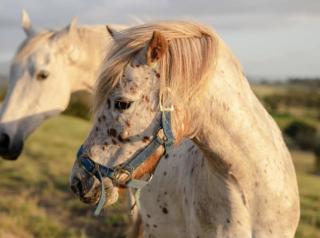 An Unforgettable View - 5