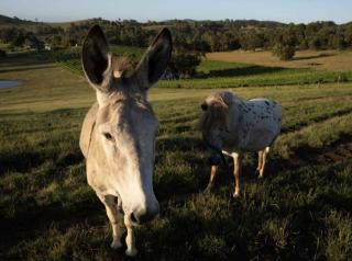 An Unforgettable View - 3