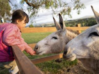 An Unforgettable View - 1