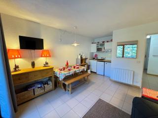 Studio rénové près des pistes avec balcon et casier à skis - FR-1-358-328 - Le Bez - 0