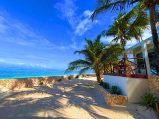 Zanzibar Beach House-South - Bwejuu - 6