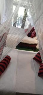 Wood Mountain Ella - 2