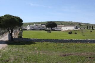 Masseria Torre Di Nebbia - Castel del Monte - 0
