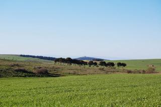 Masseria Torre Di Nebbia - 7