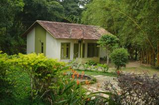 Ayurnest Pool Resort Wayanad - 3