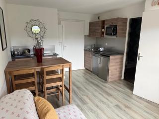 2 PIECES JARDIN, ACCES DIRECT MER ET PROCHE THALASSO - 8