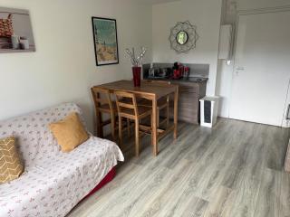 2 PIECES JARDIN, ACCES DIRECT MER ET PROCHE THALASSO - Cabourg - 9