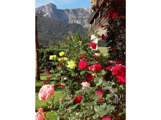 Hirterhütte Familie Gsenger - 4