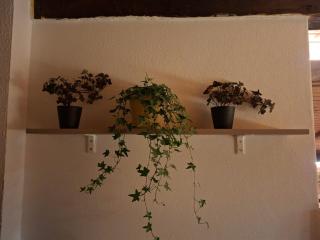 Ferienwohnung DachZeit - 2