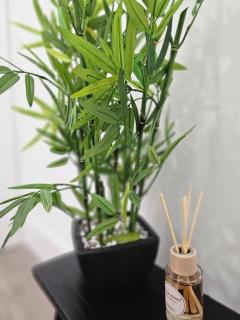 Entire Flat in heart of Oxford - 6