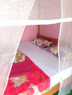 kapi wild cottage Ella - 3