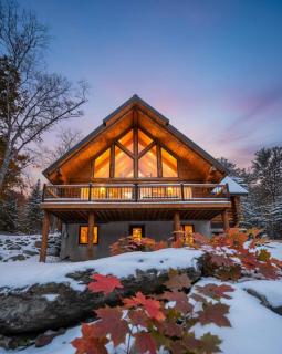 Welcome to the JUNGLE - Log cabine - SPA - 9