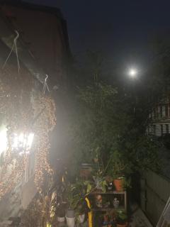 Central, charming, 1800s apartment - 5