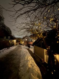 Central, charming, 1800s apartment - 1