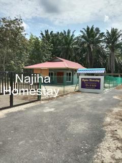 Najiha Homestay Gunung Ledang - 0