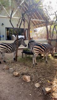 Lodana -next to Crocodile River - 5