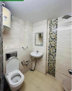 Hotel Star Blueberry's 1 - 9