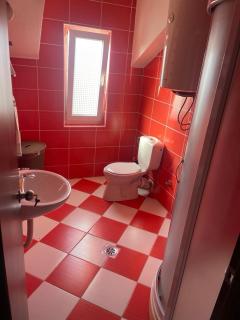 Duplex apartment in Podgorica - 5