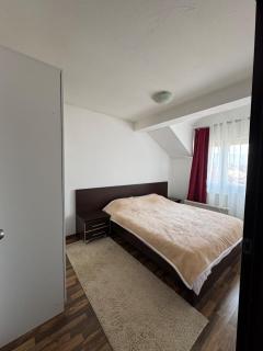 Duplex apartment in Podgorica - 4