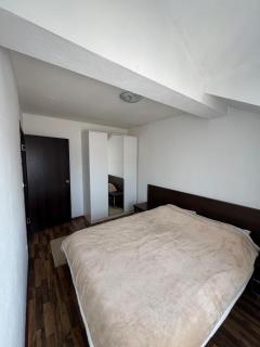 Duplex apartment in Podgorica - 3
