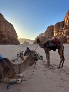 Wadi rum Stella camp - 7