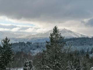 Apartment 25 JAVOR - Rezidence & Wellnes - 9