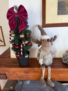 Agriturismo La Vita è Bella - 1