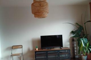 Appartement avec vue à Annecy - 7