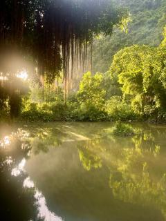 Trang An Memory Homestay - 8