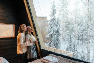 Lapland Glow Chalets - 3