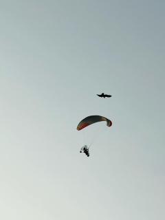 Rayz inn beach resort new - 4