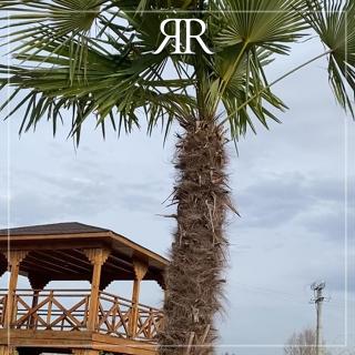 Royal Hotel & Events - 3