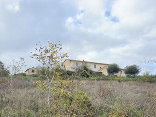 Agriturismo Collina degli Ulivi - Sarteano - 1