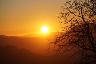 Hostal el Ciervo - 1