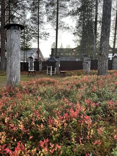 Alppitalo apartment in the center Karhunvartija 7 - 3