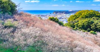 KAMENOI HOTEL Kii-Tanabe - 3